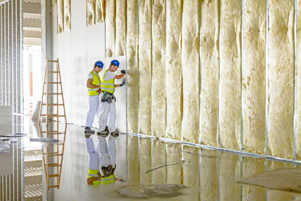 Best Insulation Maintenance and Repair in Bluffdale, UT